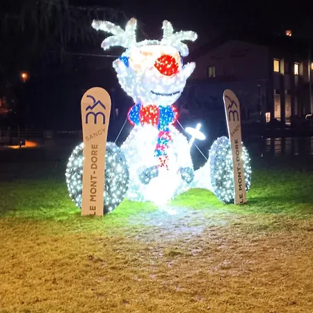 31 Avenue Georges Clemenceau Appartement Le Mont-Dore