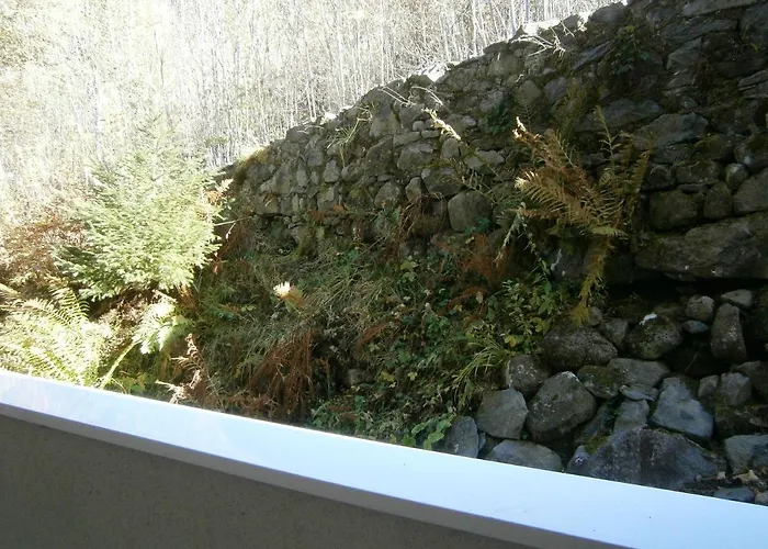 31 Avenue Georges Clemenceau Appartement Le Mont-Dore