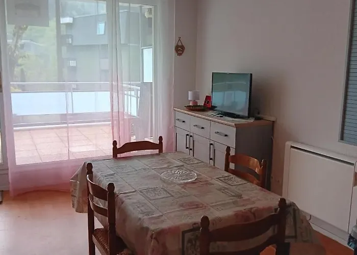 Appartement 31 Avenue Georges Clemenceau Le Mont-Dore