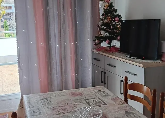 Appartement 31 Avenue Georges Clemenceau Le Mont-Dore