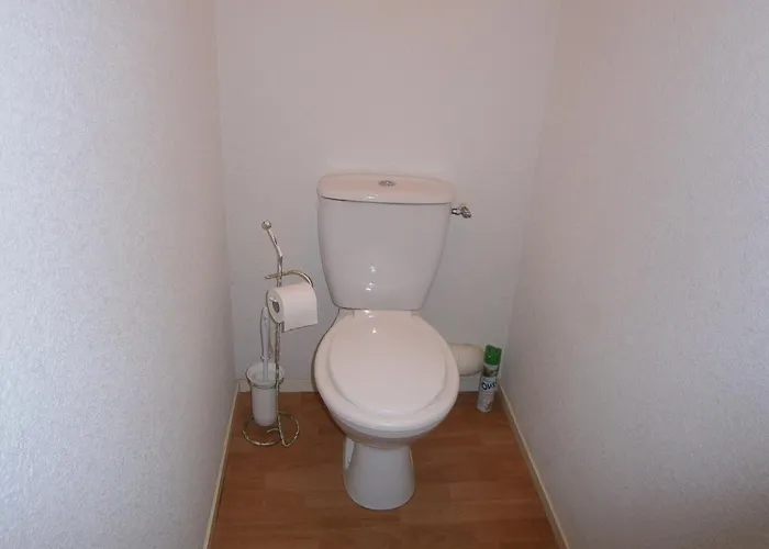 31 Avenue Georges Clemenceau Appartement Le Mont-Dore