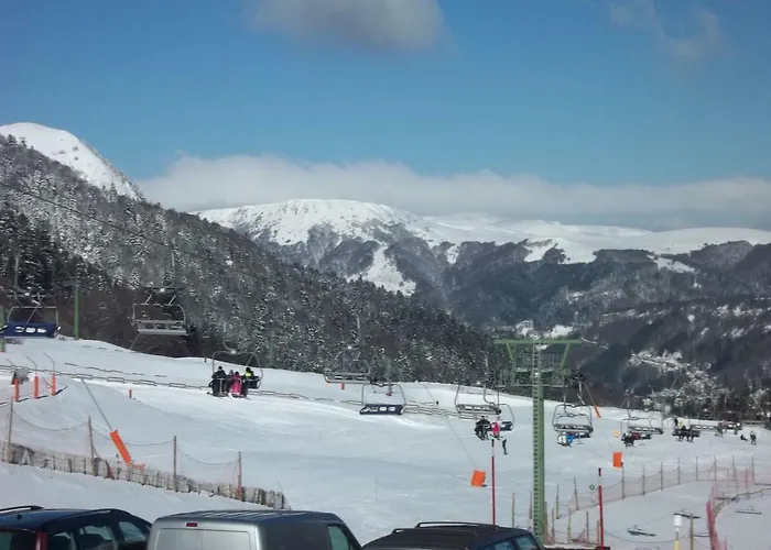 31 Avenue Georges Clemenceau Appartement Le Mont-Dore